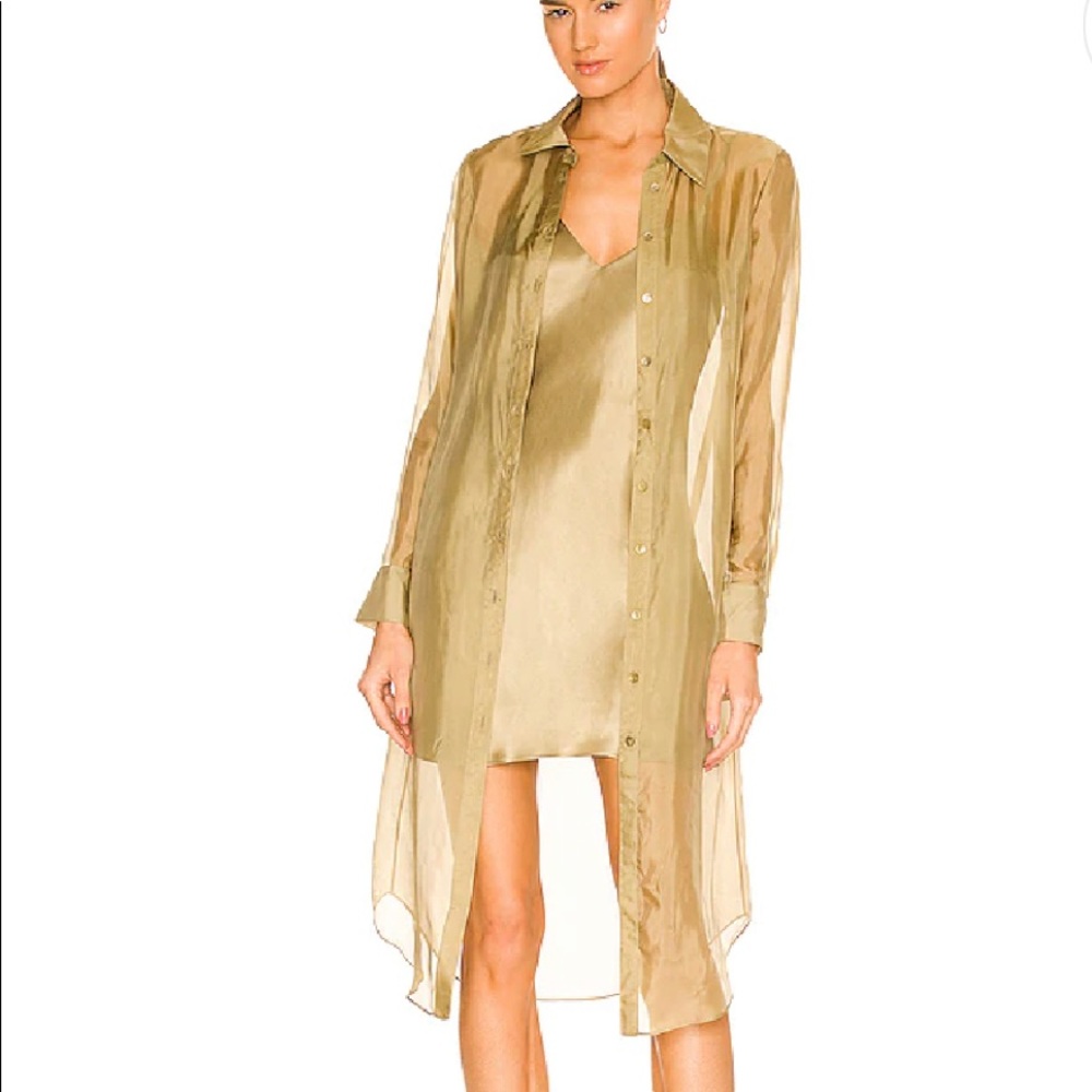 Week-end stories gold sheer blouse